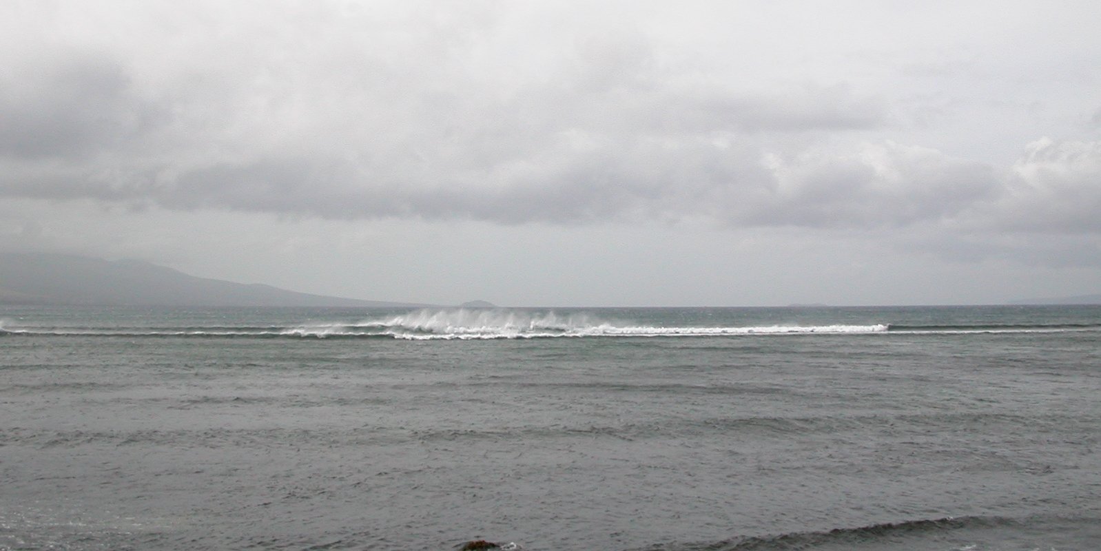 seedicksurf.com - Maui Daily Surf shots!!