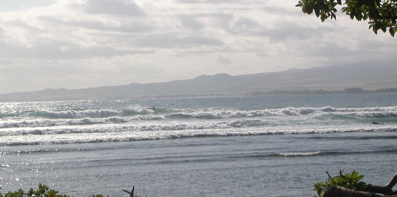 seedicksurf.com - Maui Daily Surf shots and surf report!!