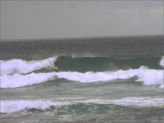 seedicksurf.com - Maui Daily Surf shots and the Maui surf report!!