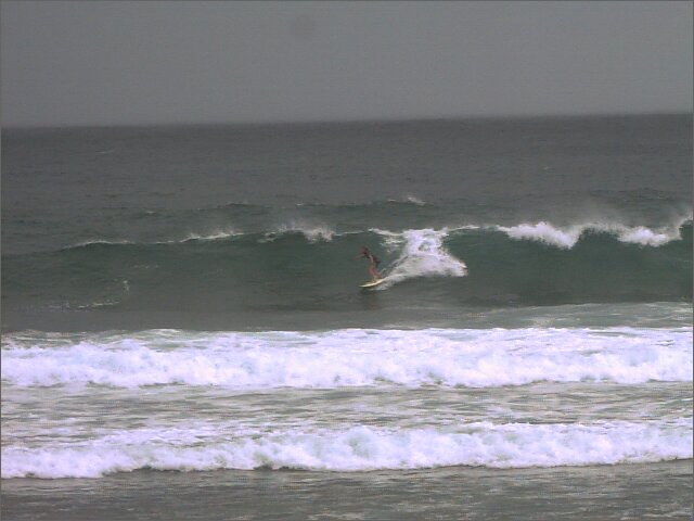 seedicksurf.com - Maui Daily Surf shots and the Maui surf report!!