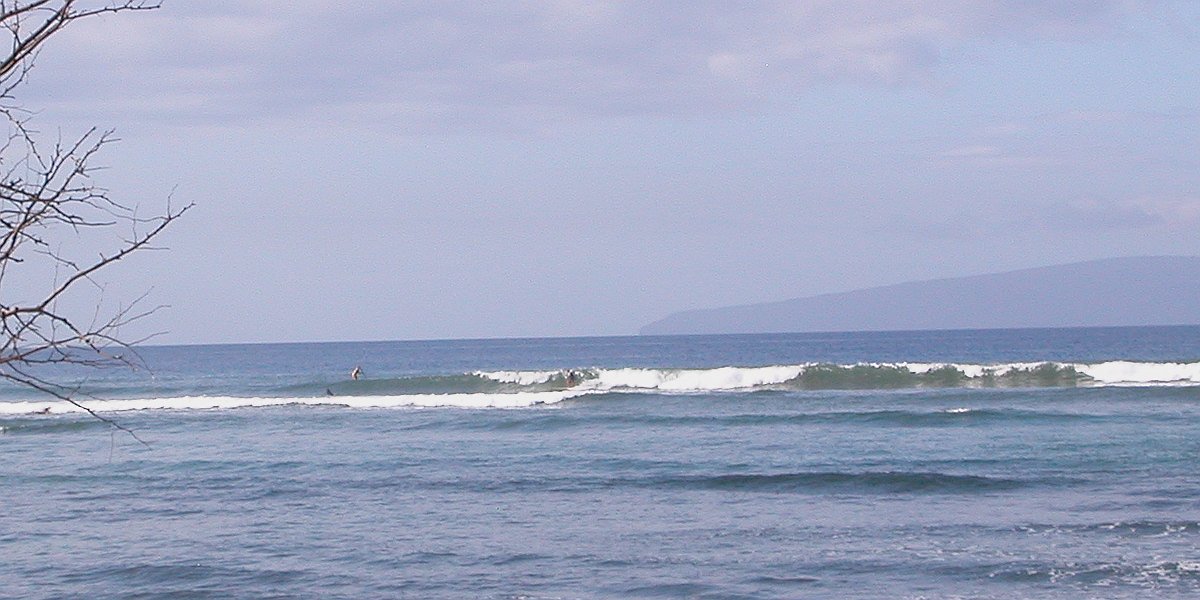 seedicksurf.com - Maui Daily Surf shots and the Maui surf report!!