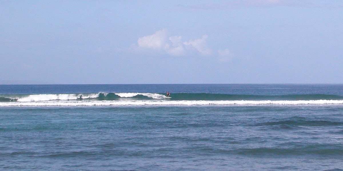seedicksurf.com - Maui Daily Surf shots and the Maui surf report!!