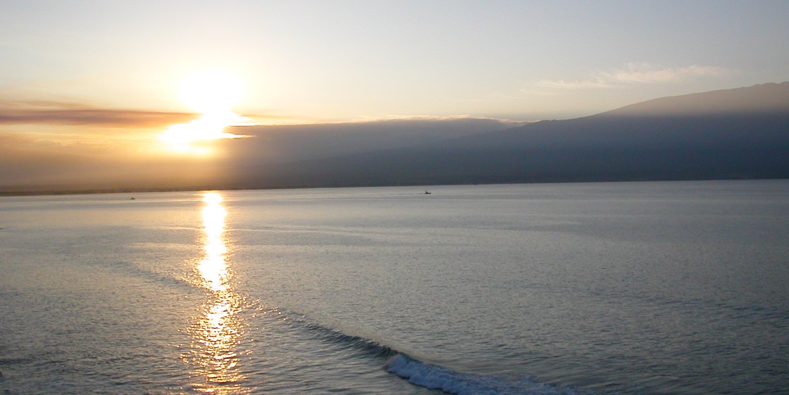 seedicksurf.com - Maui Daily Surf shots and the Maui surf report!!