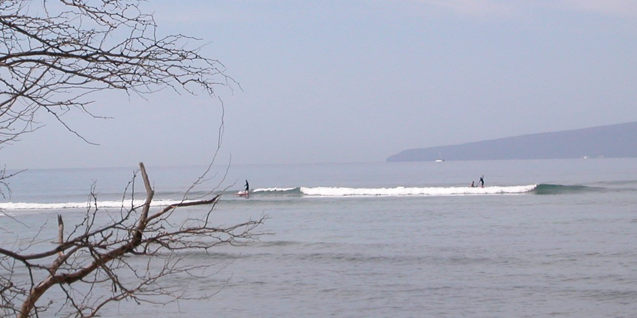 seedicksurf.com - Maui Daily Surf shots and the Maui surf report!!