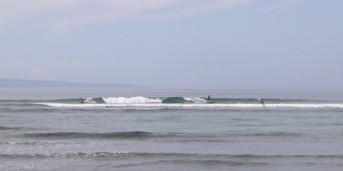 seedicksurf.com - Maui Daily Surf shots and the Maui surf report!!