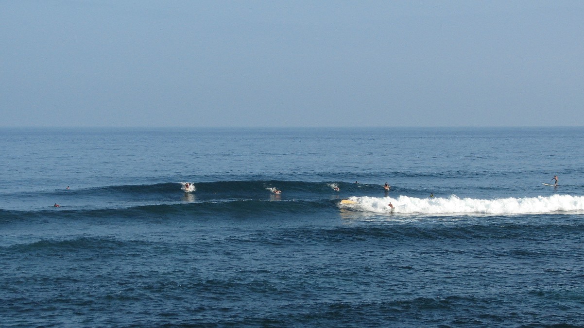 seedicksurf.com - Maui Daily Surf shots and the Maui surf report!!