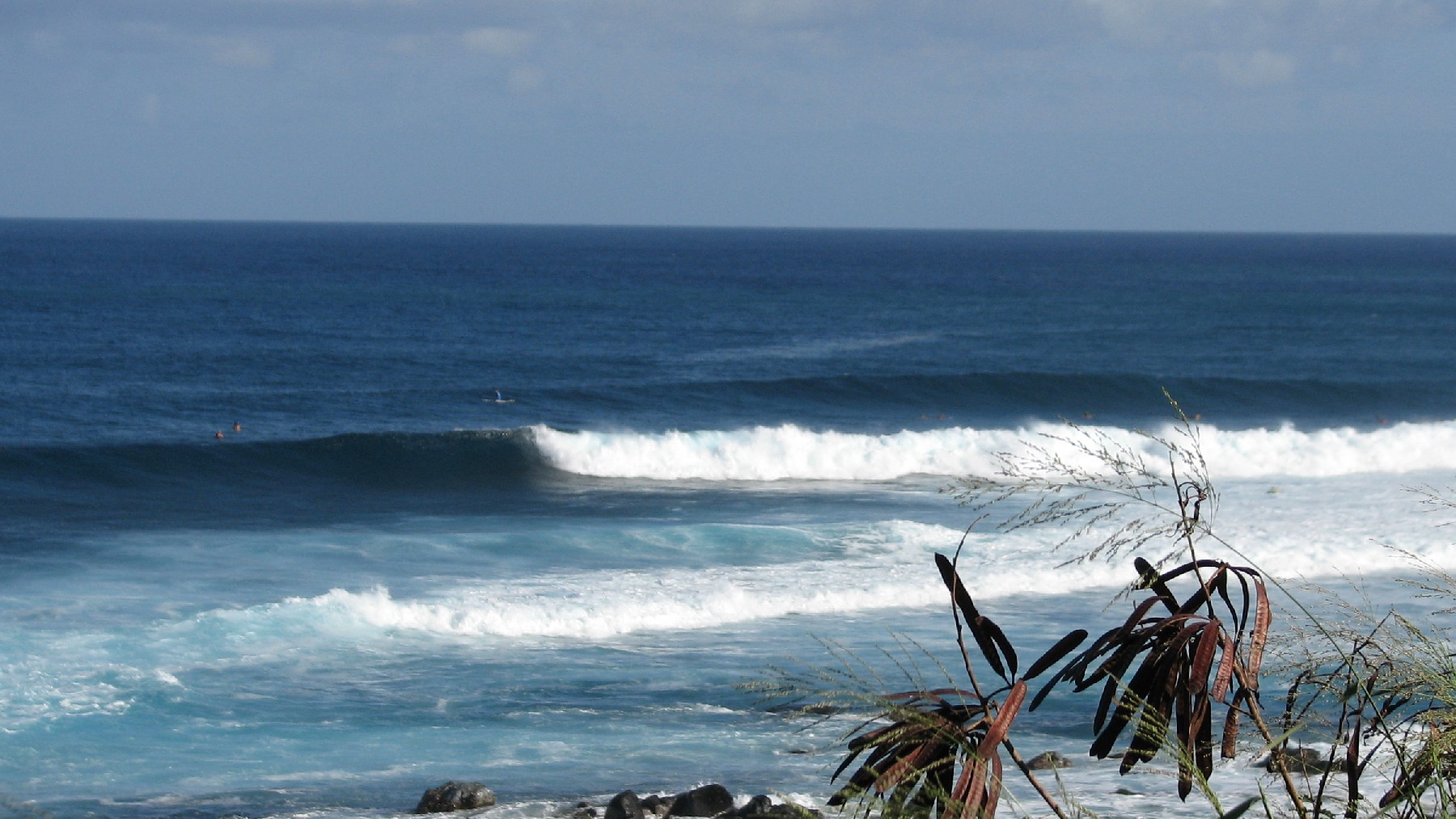 seedicksurf.com - Maui Daily Surf shots and the Maui surf report!!