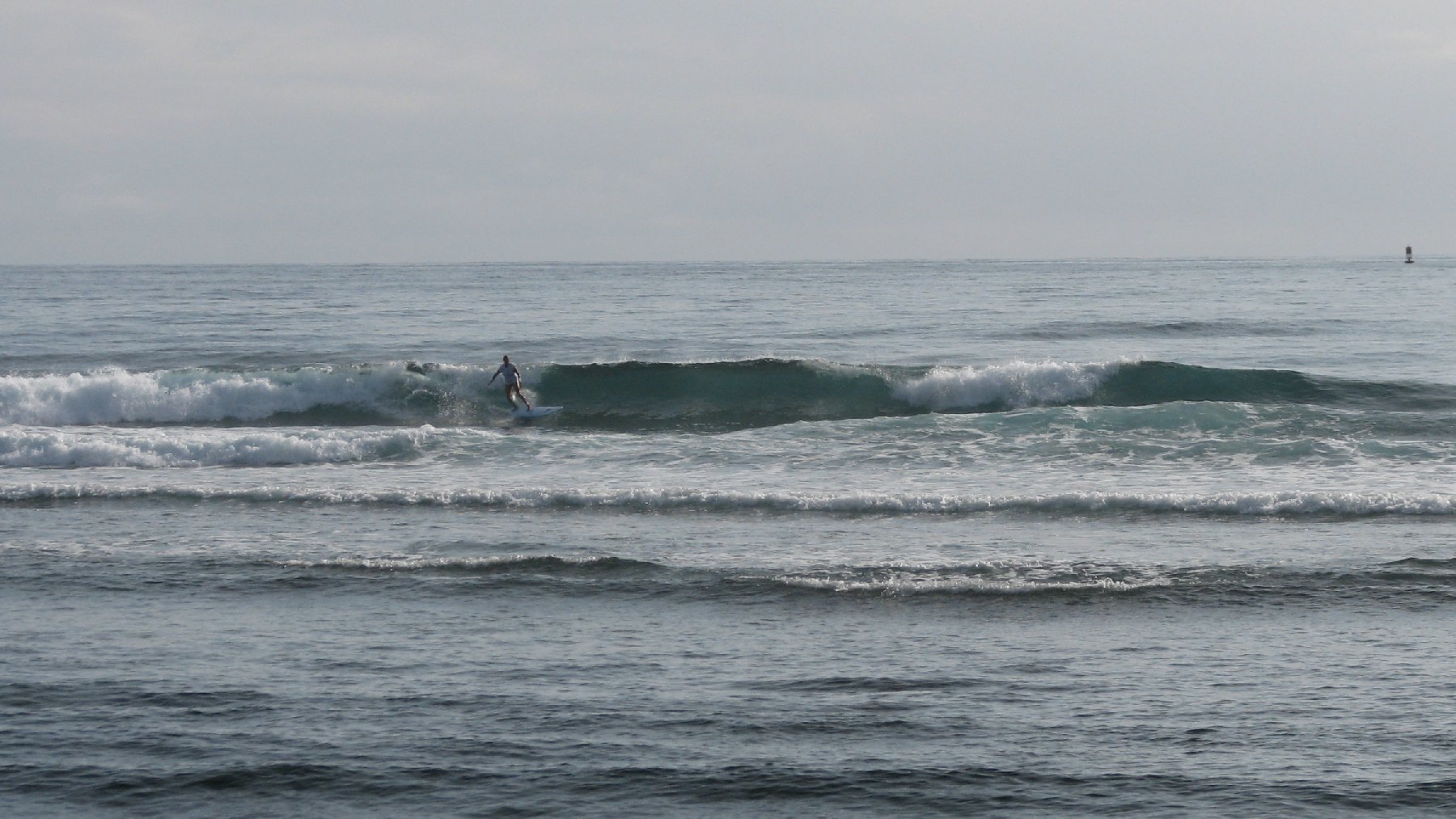 seedicksurf.com - Maui Daily Surf shots and the Maui surf report!!