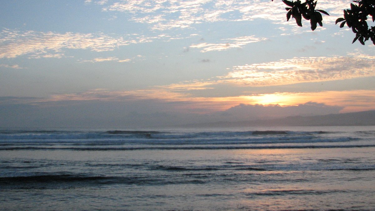 seedicksurf.com - Maui Daily Surf shots and the Maui surf report!!
