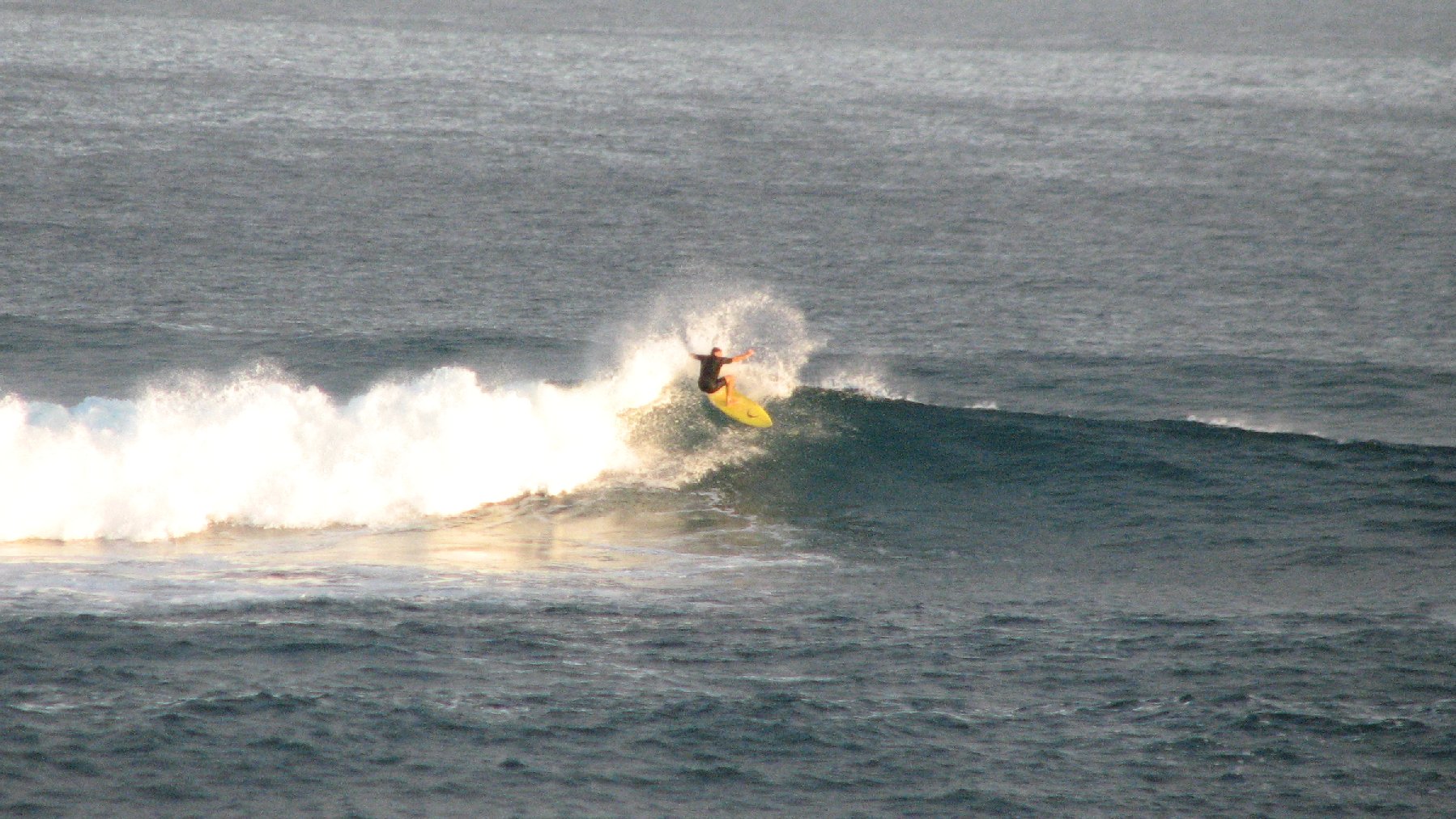seedicksurf.com - Maui Daily Surf shots and the Maui surf report!!