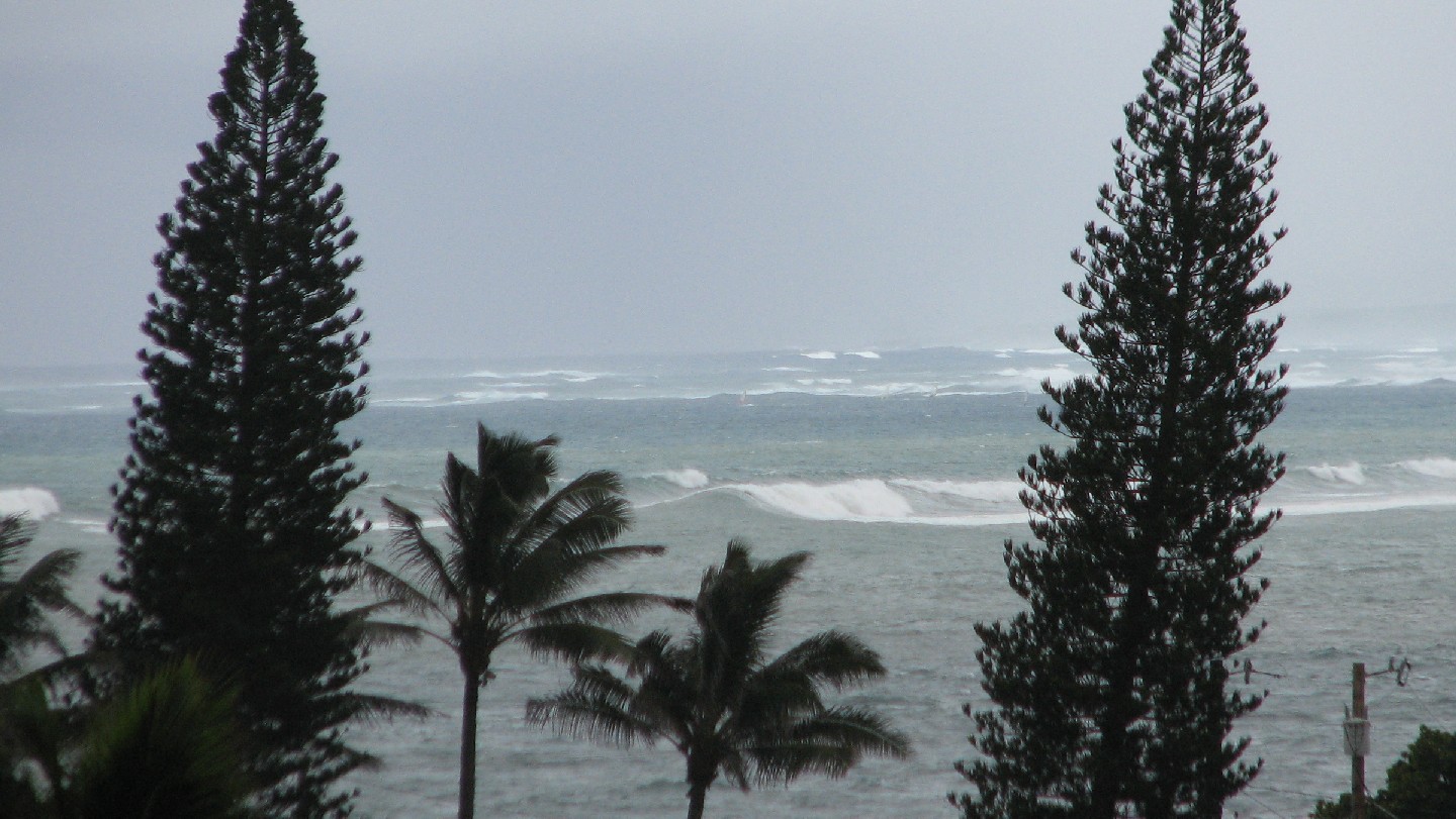 seedicksurf.com - Maui Daily Surf shots and the Maui surf report!!