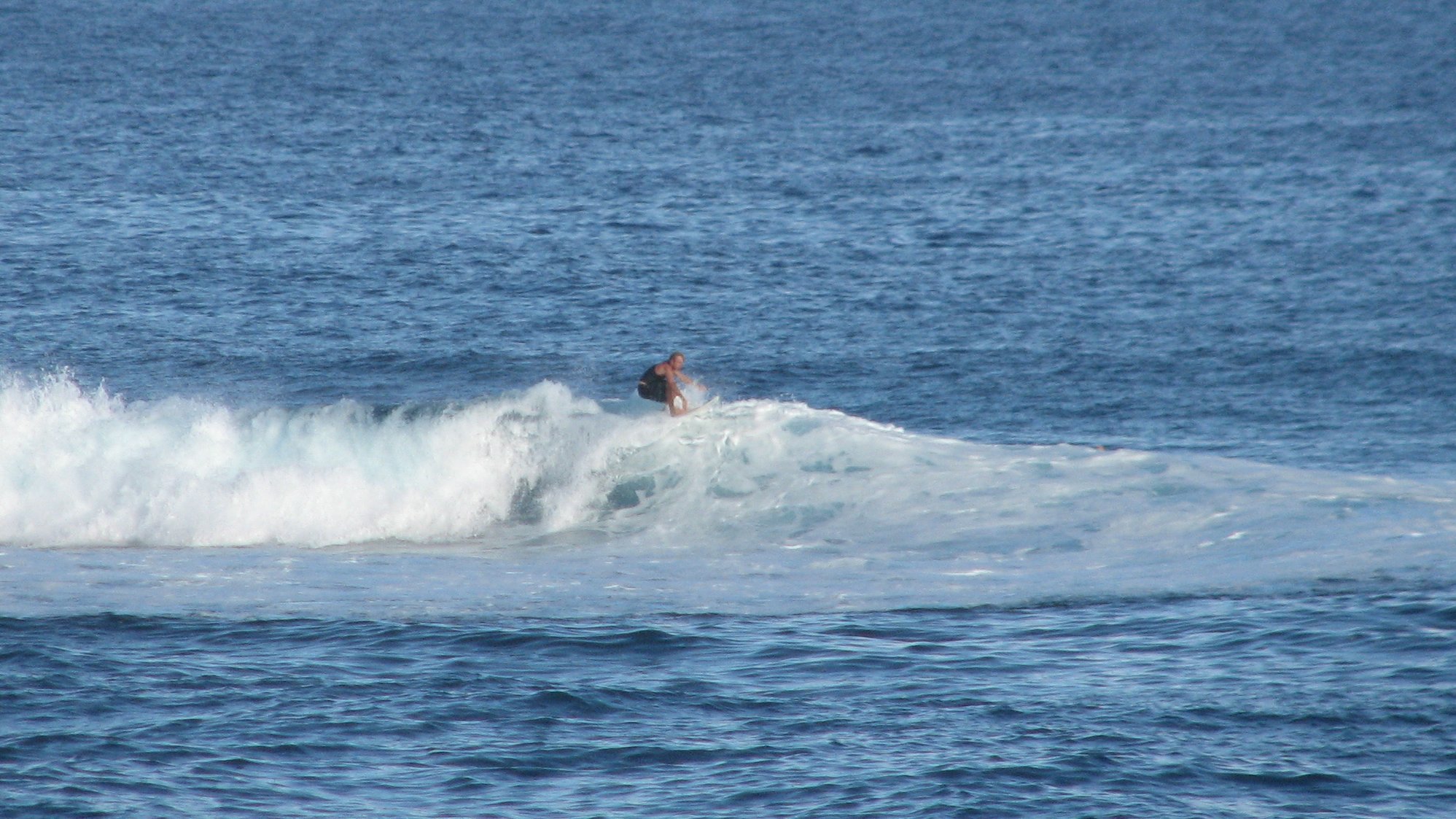 seedicksurf.com - Maui Daily Surf shots and the Maui surf report!!