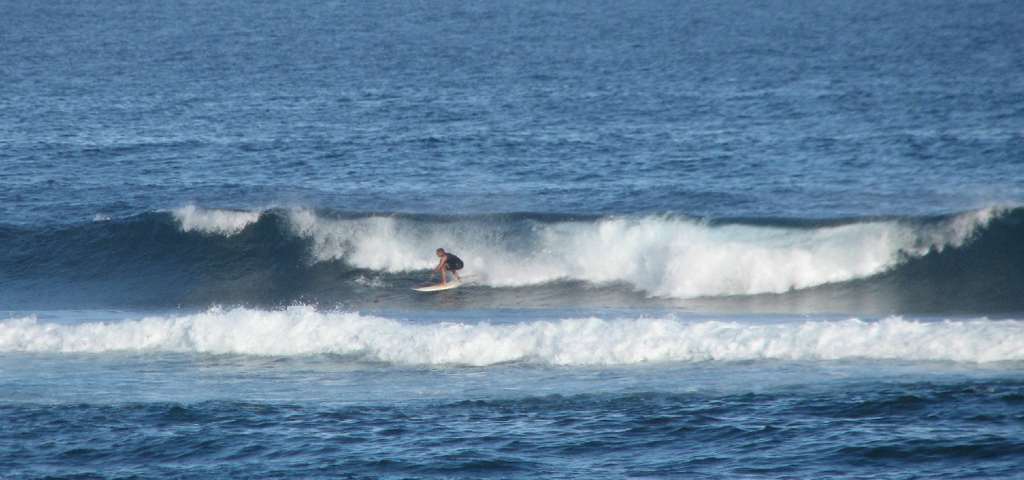 seedicksurf.com - Maui Daily Surf shots and the Maui surf report!!