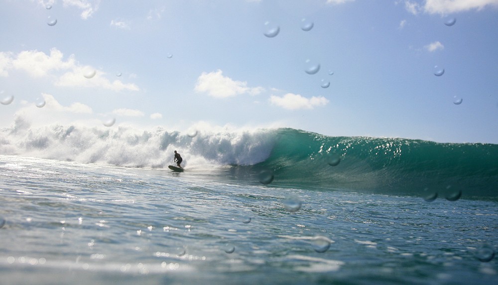 seedicksurf.com - Maui Daily Surf shots and the Maui surf report!!
