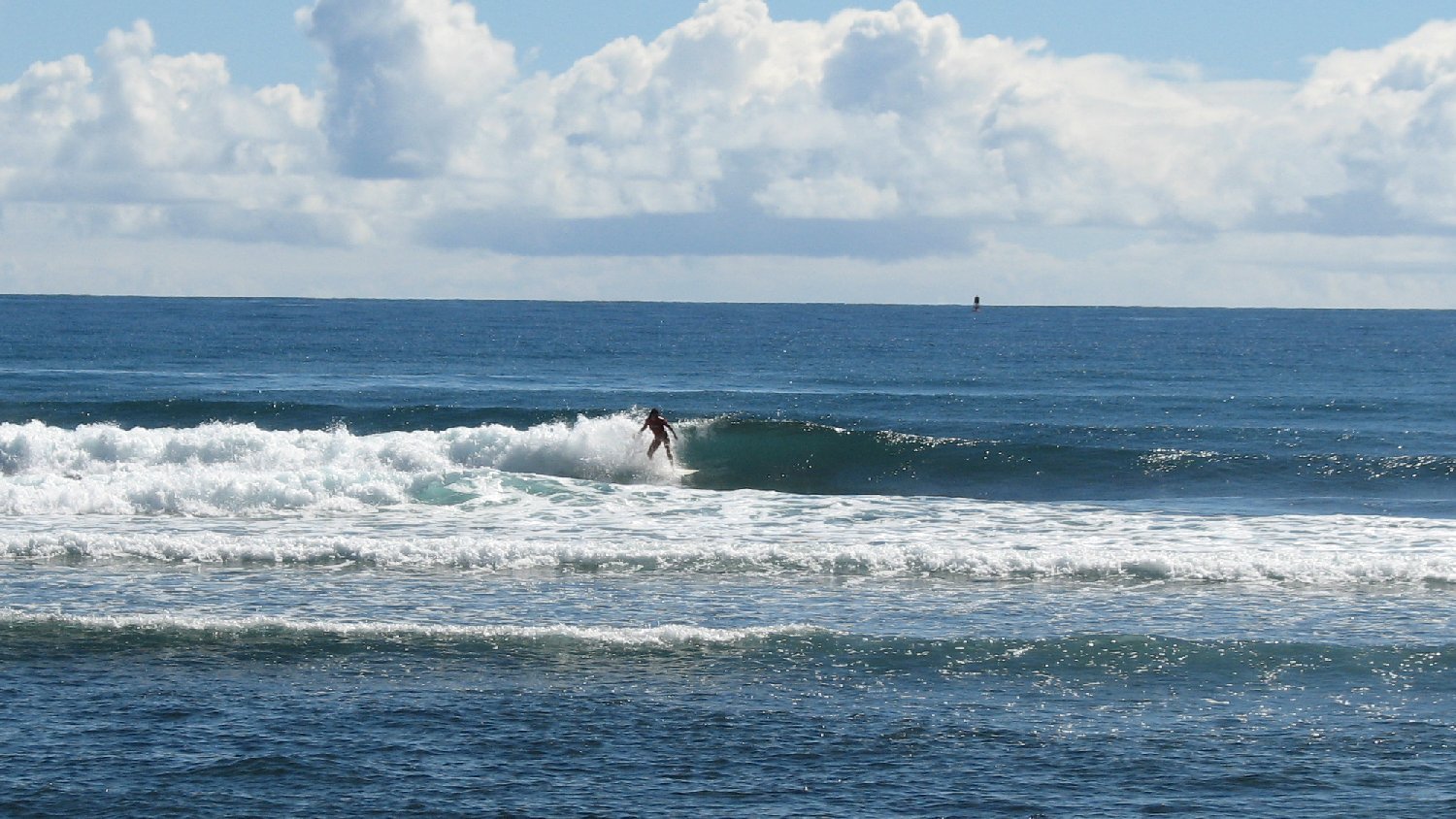 seedicksurf.com - Maui Daily Surf shots and the Maui surf report!!