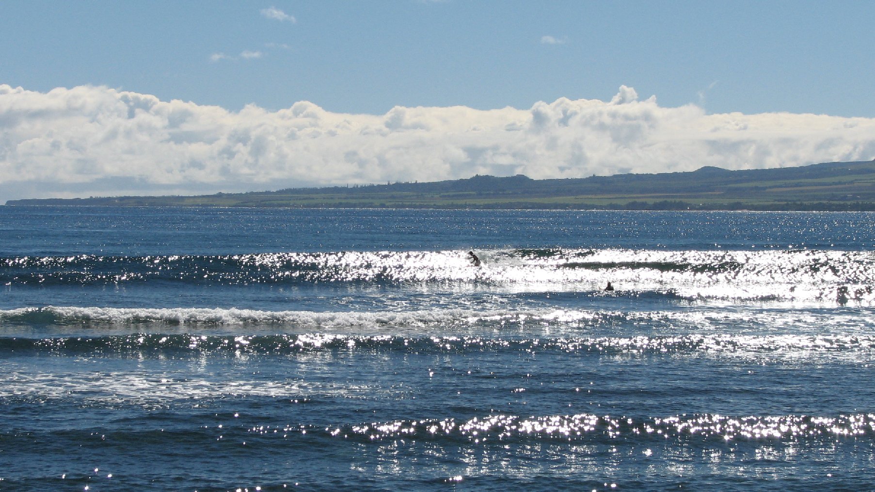 seedicksurf.com - Maui Daily Surf shots and the Maui surf report!!