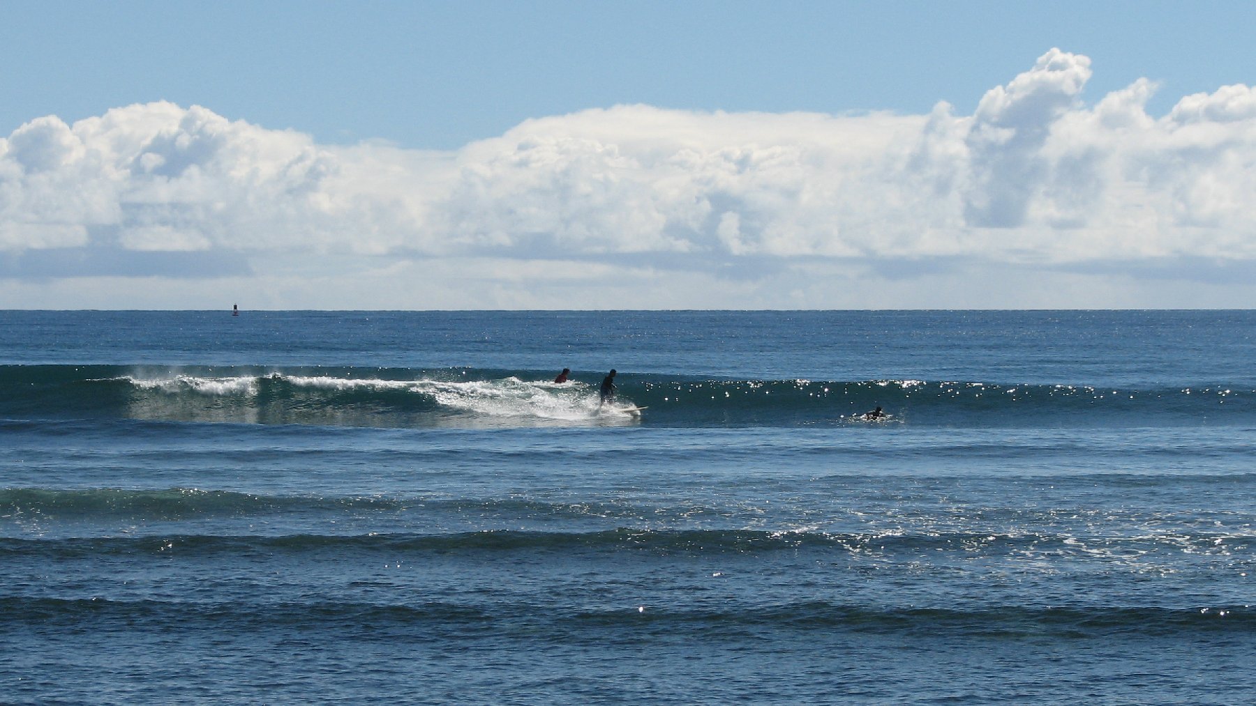 seedicksurf.com - Maui Daily Surf shots and the Maui surf report!!