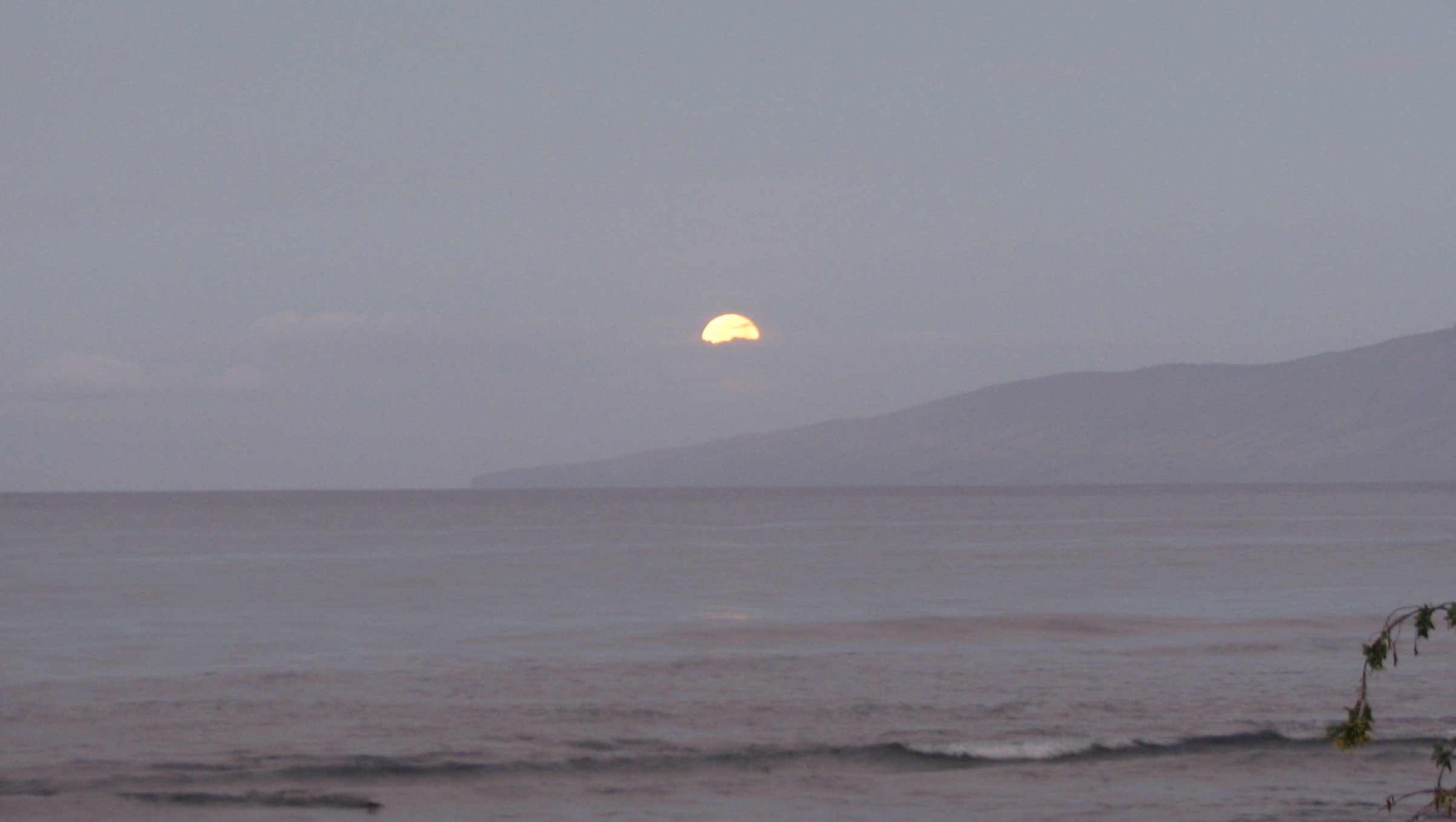 seedicksurf.com - Maui Daily Surf shots and the Maui surf report!!