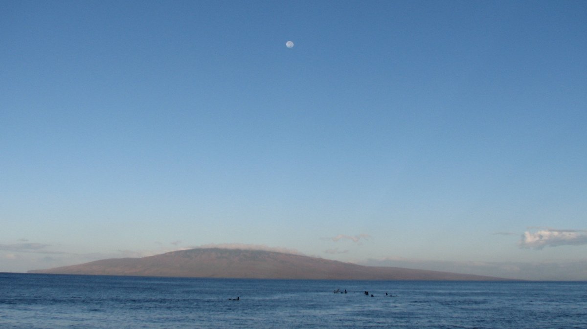 seedicksurf.com - Maui Daily Surf shots and the Maui surf report!!