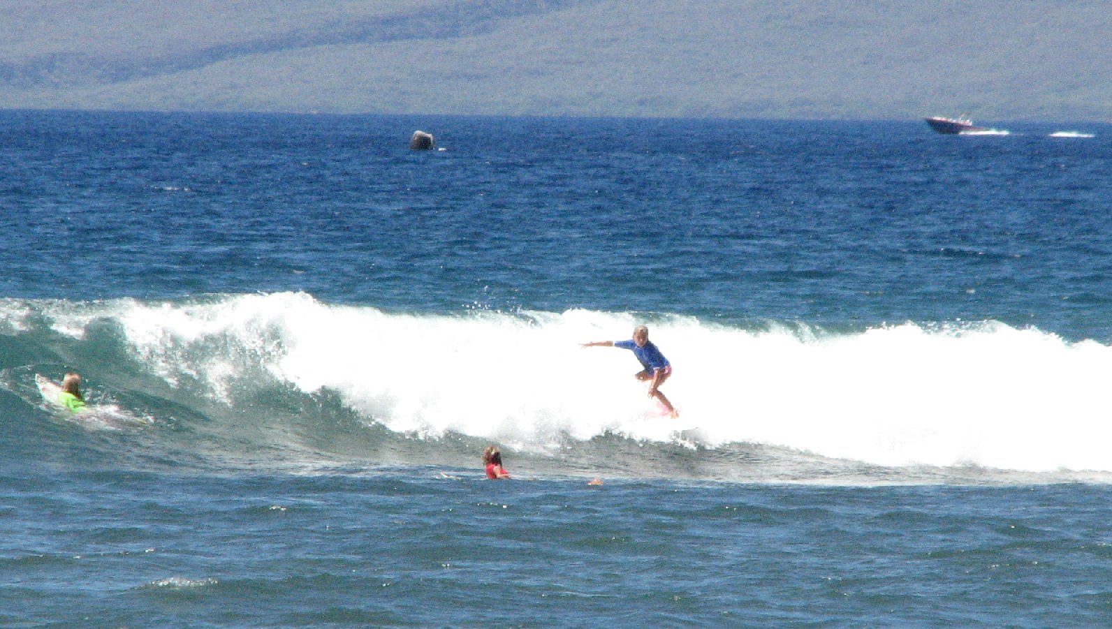 seedicksurf.com - Maui Daily Surf shots and the Maui surf report!!