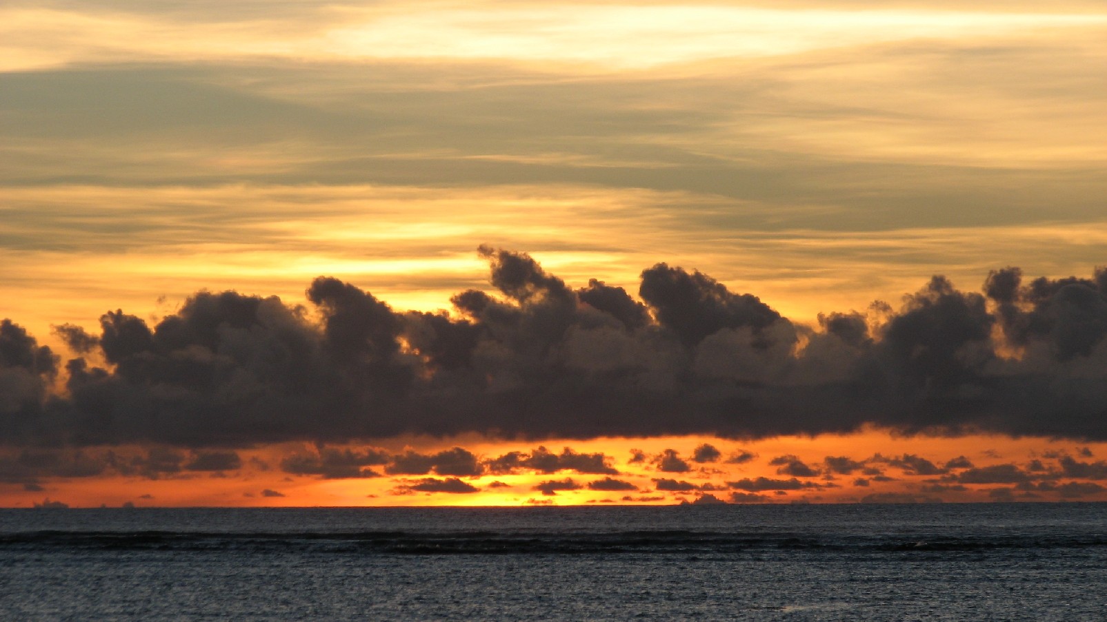 seedicksurf.com - Maui Daily Surf shots and the Maui surf report!!