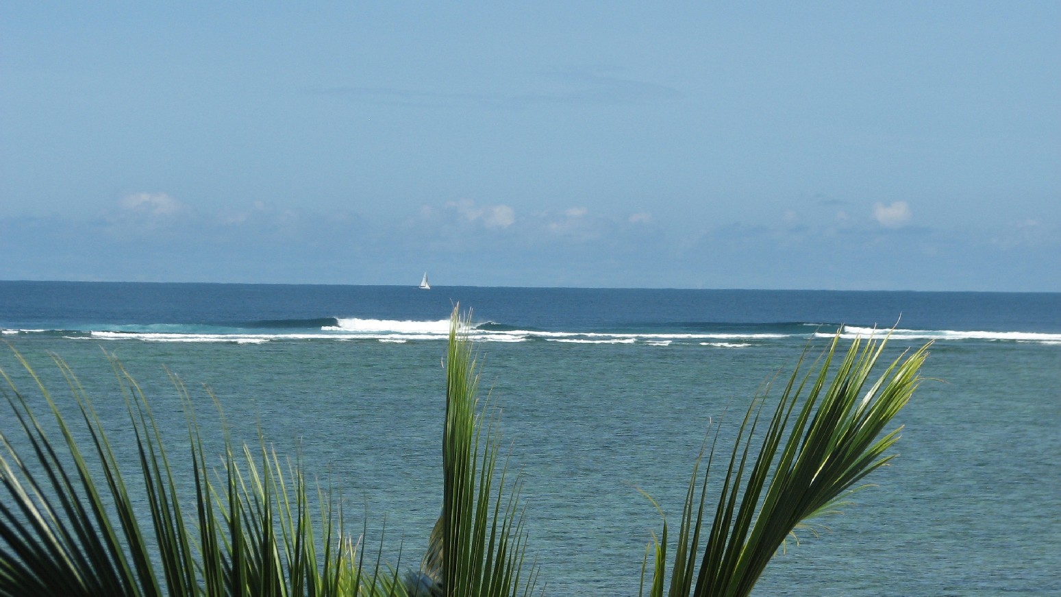 seedicksurf.com - Maui Daily Surf shots and the Maui surf report!!