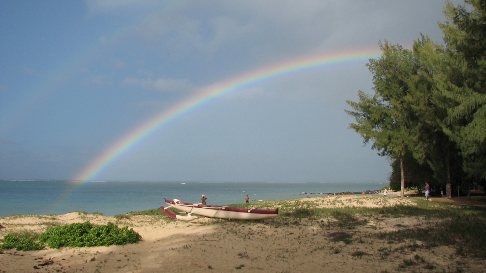 seedicksurf.com - Maui Daily Surf shots and the Maui surf report!!