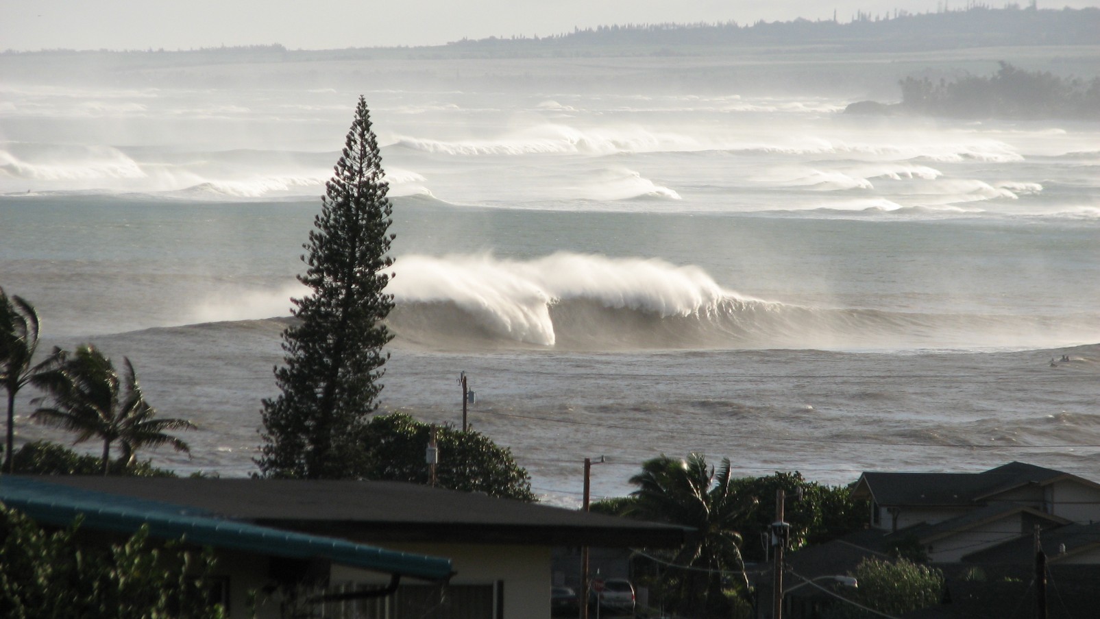 seedicksurf.com - Maui Daily Surf shots and the Maui surf report!!