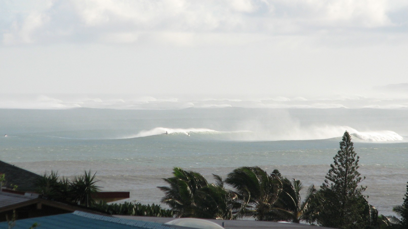 seedicksurf.com - Maui Daily Surf shots and the Maui surf report!!
