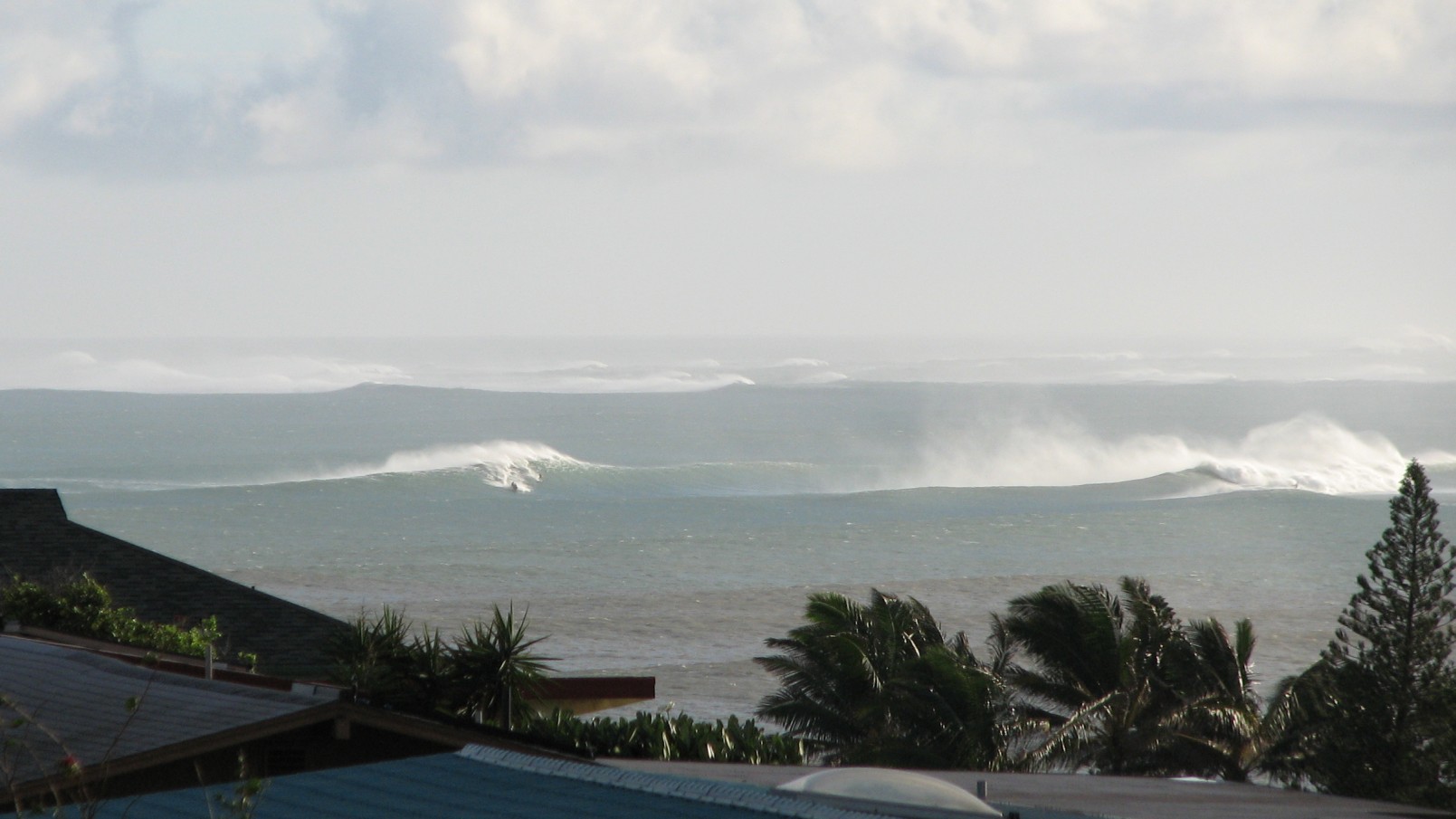 seedicksurf.com - Maui Daily Surf shots and the Maui surf report!!
