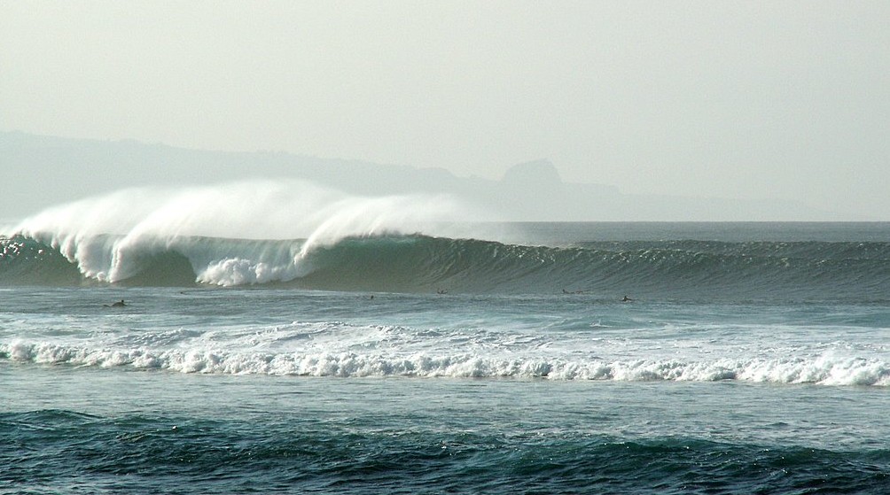 seedicksurf.com - Maui Daily Surf shots and the Maui surf report!!