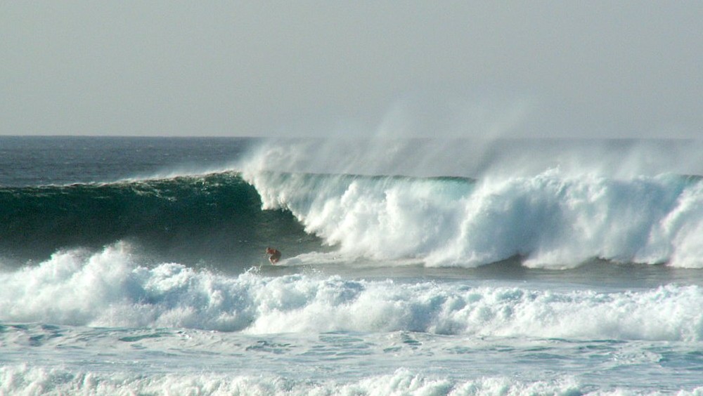 seedicksurf.com - Maui Daily Surf shots and the Maui surf report!!