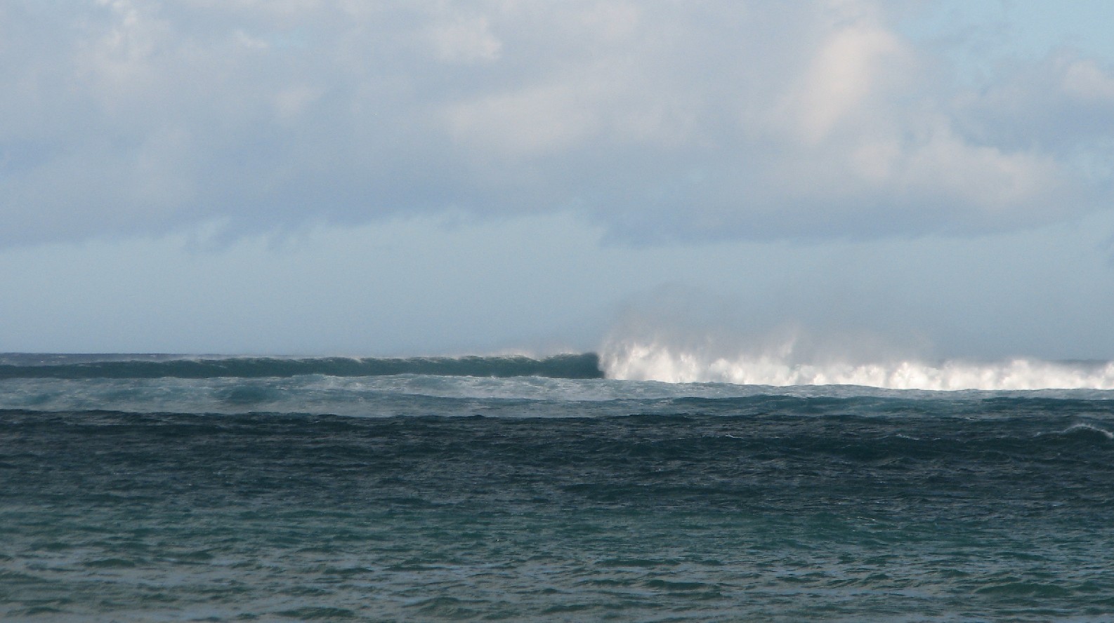 seedicksurf.com - Maui Daily Surf shots and the Maui surf report!!