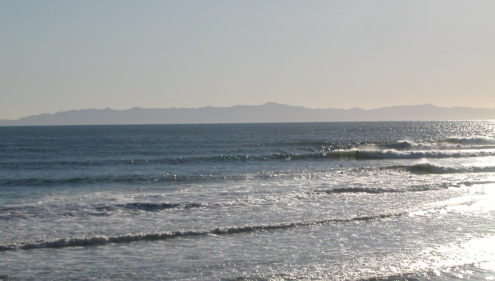 seedicksurf.com - Maui Daily Surf shots and the Maui surf report!!