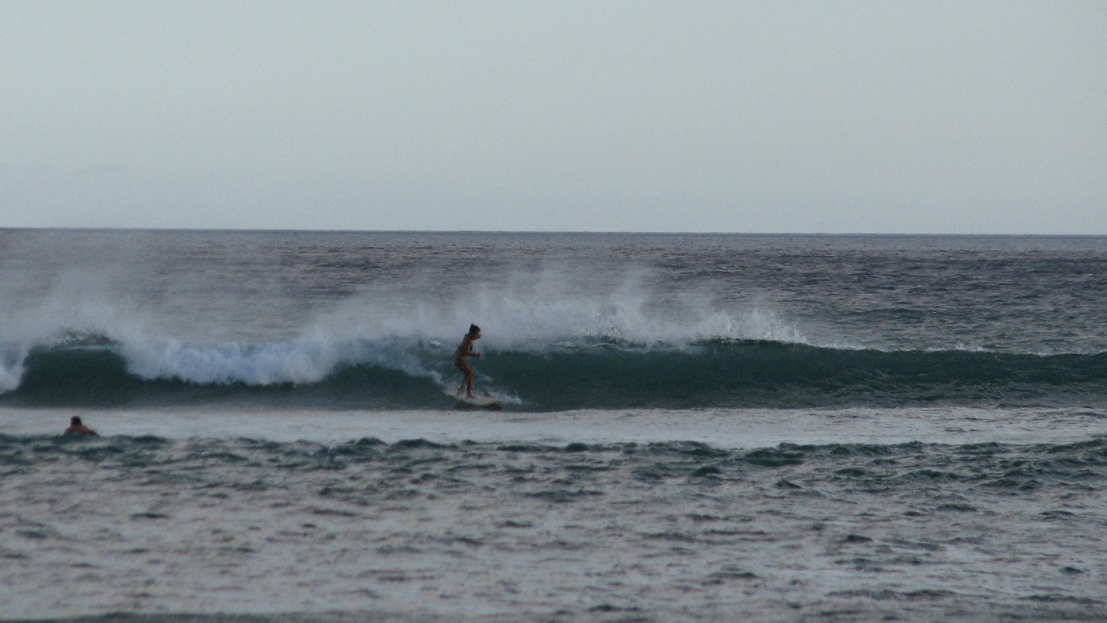 seedicksurf.com - Maui Daily Surf shots and the Maui surf report!!