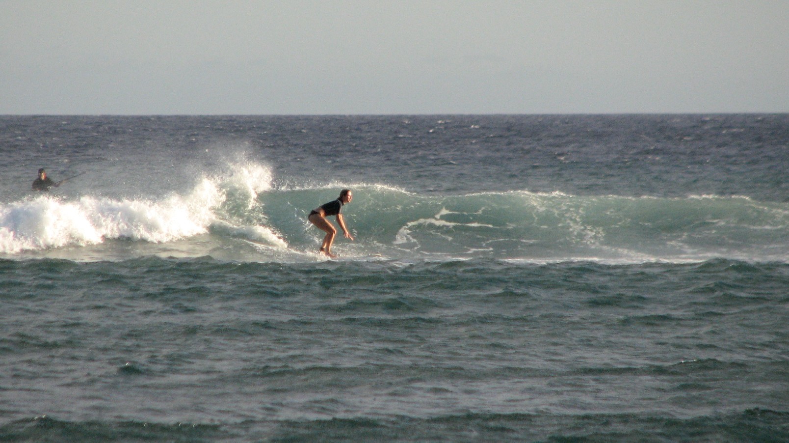 seedicksurf.com - Maui Daily Surf shots and the Maui surf report!!