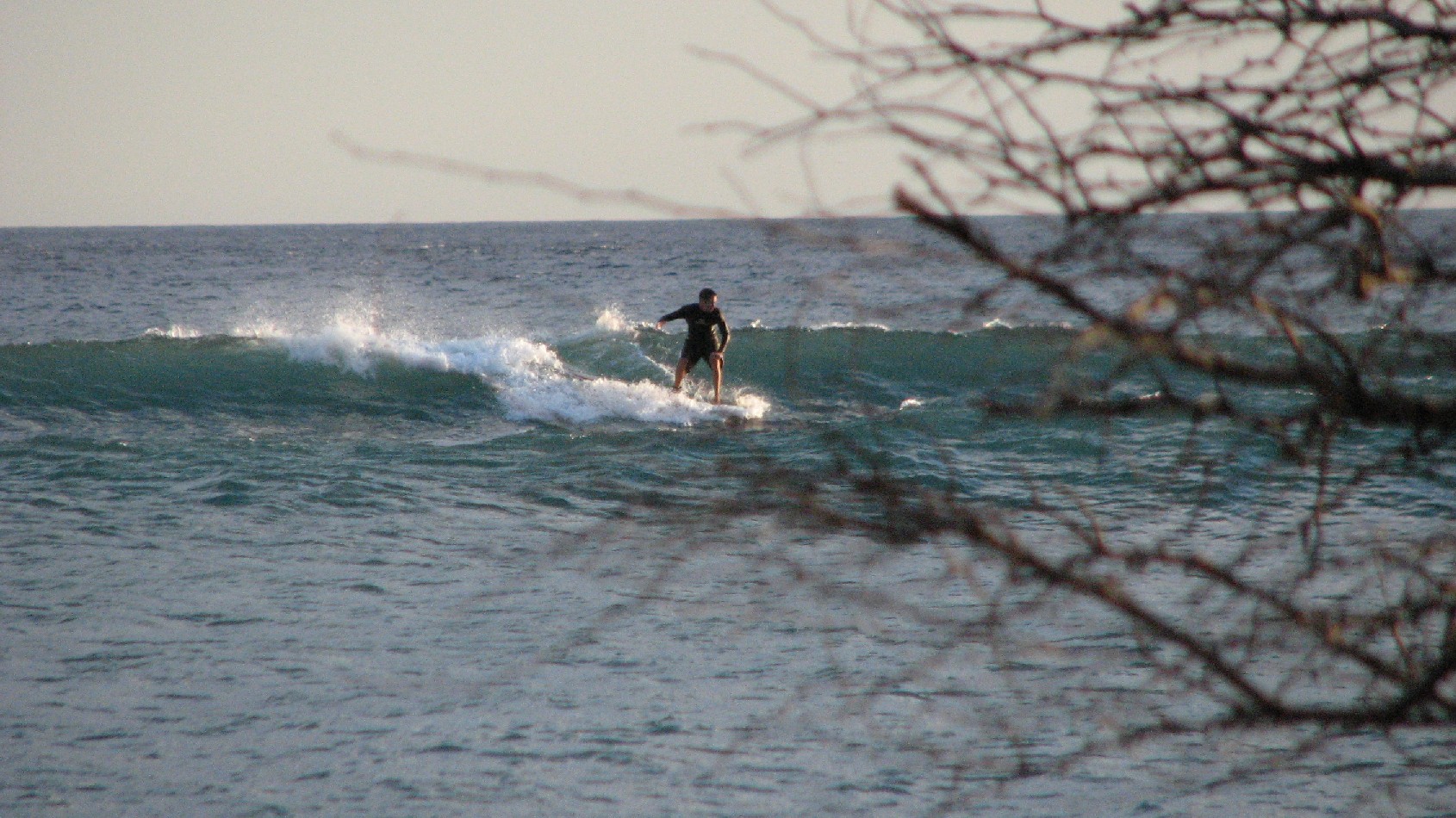 seedicksurf.com - Maui Daily Surf shots and the Maui surf report!!
