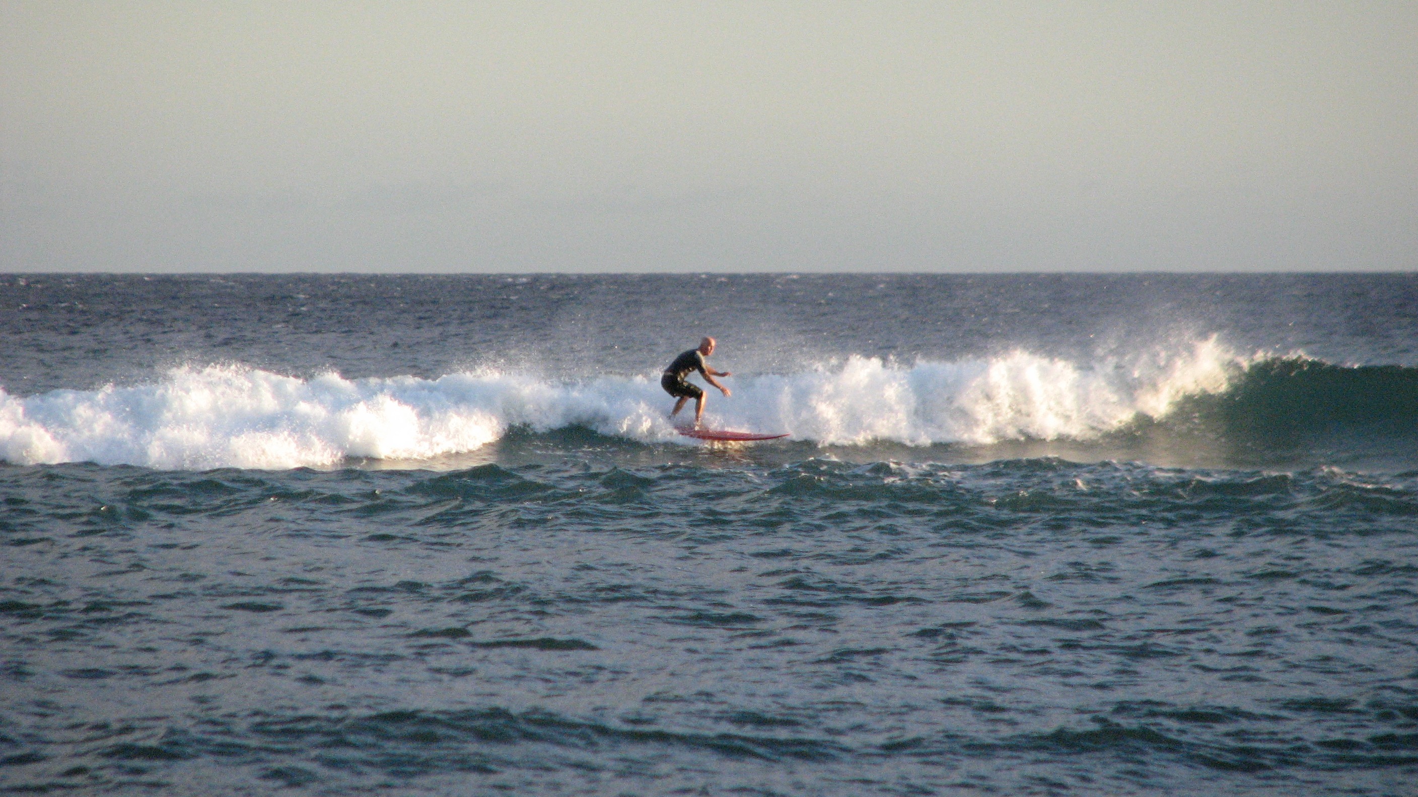 seedicksurf.com - Maui Daily Surf shots and the Maui surf report!!