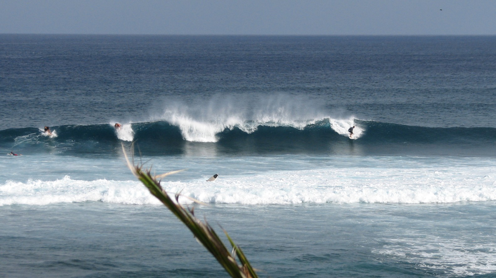 seedicksurf.com - Maui Daily Surf shots and the Maui surf report!!