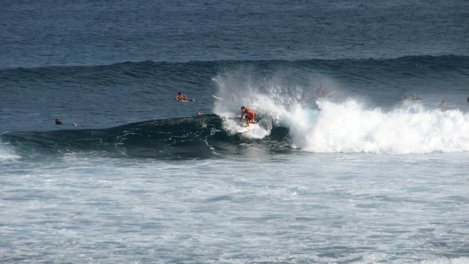 seedicksurf.com - Maui Daily Surf shots and the Maui surf report!!