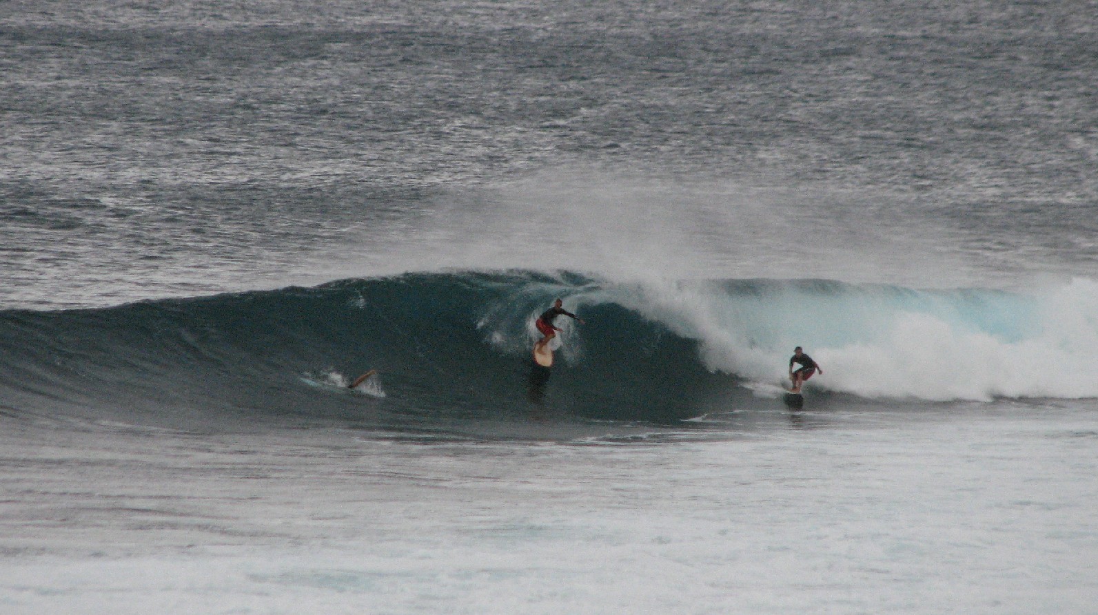 seedicksurf.com - Maui Daily Surf shots and the Maui surf report!!