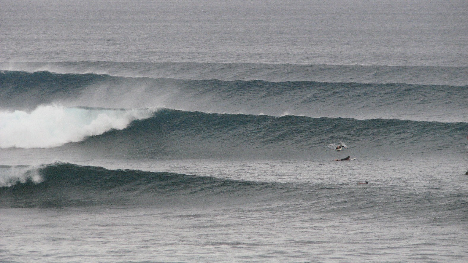 seedicksurf.com - Maui Daily Surf shots and the Maui surf report!!