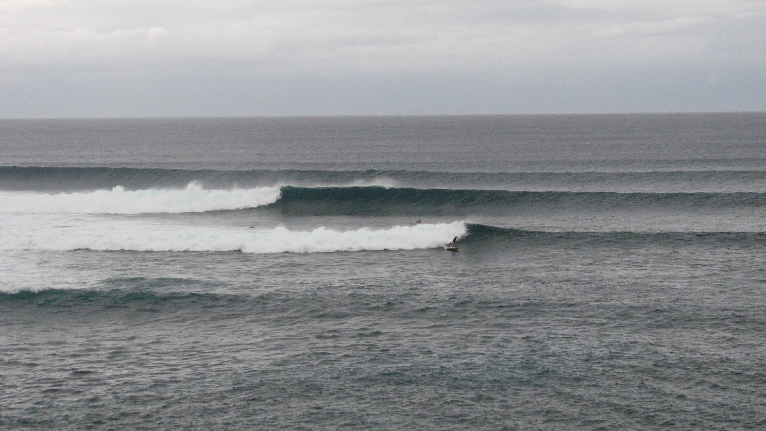 seedicksurf.com - Maui Daily Surf shots and the Maui surf report!!