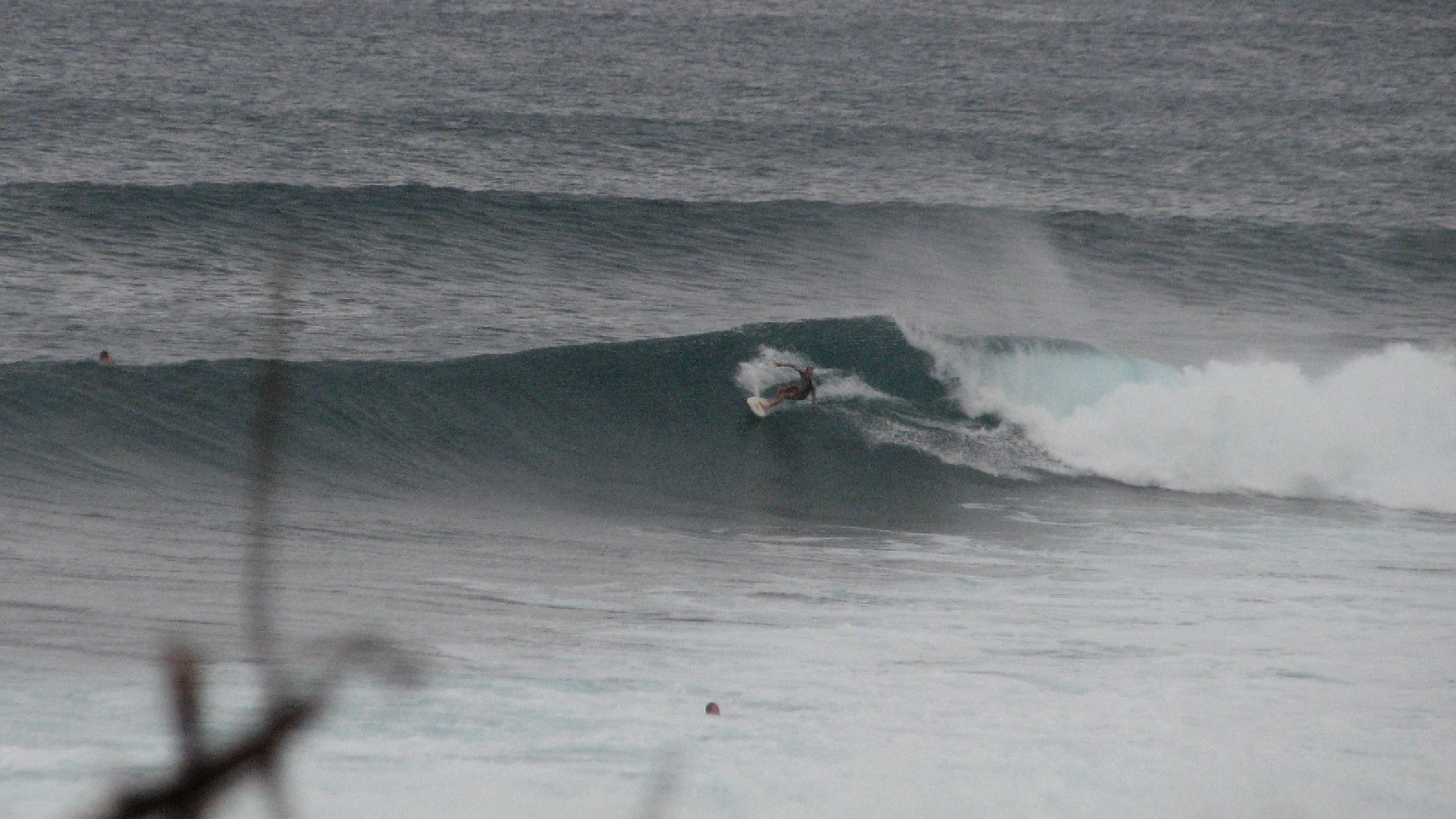 seedicksurf.com - Maui Daily Surf shots and the Maui surf report!!