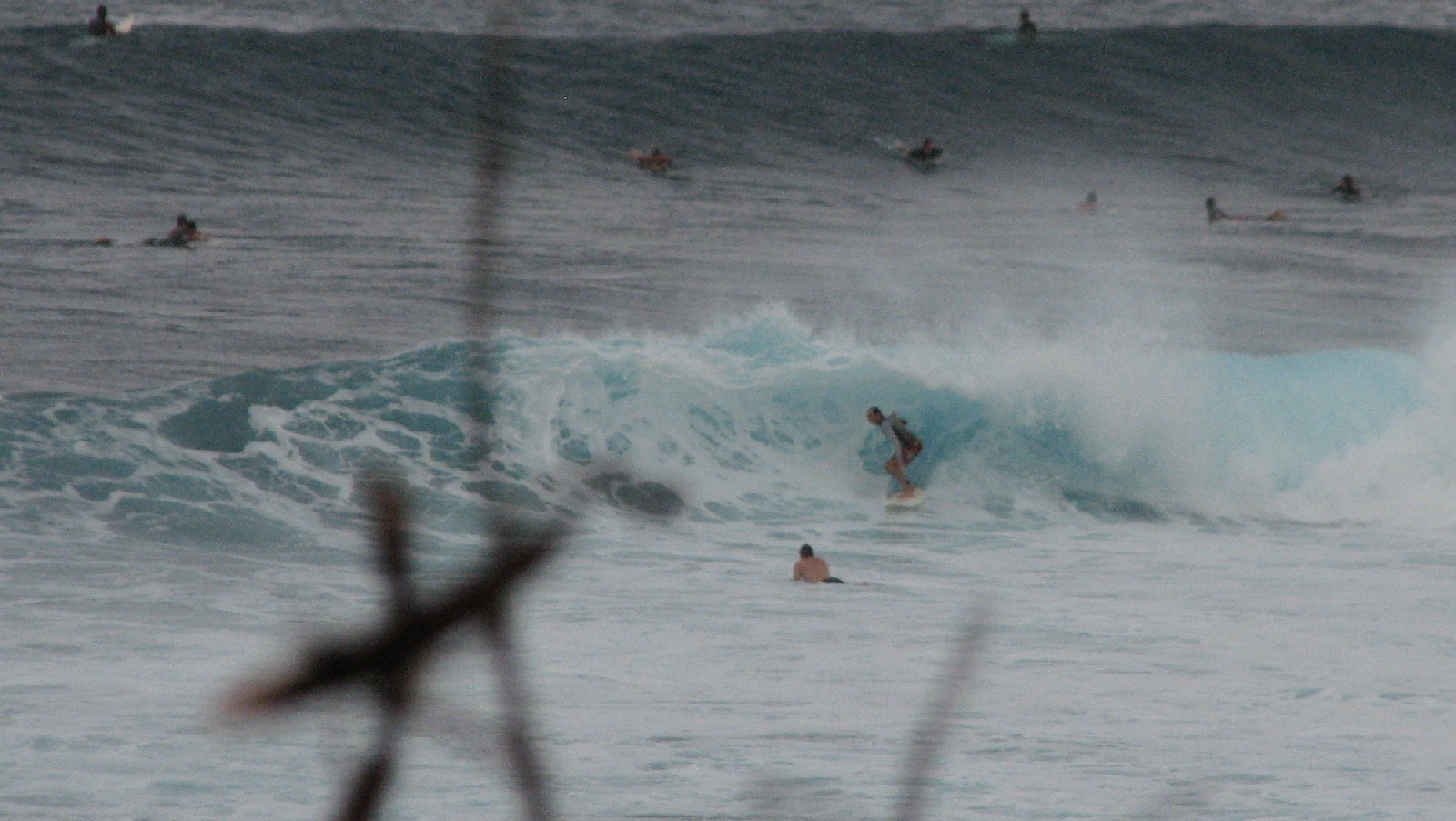 seedicksurf.com - Maui Daily Surf shots and the Maui surf report!!