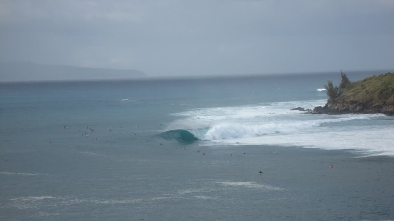 seedicksurf.com - Maui Daily Surf shots and the Maui surf report!!