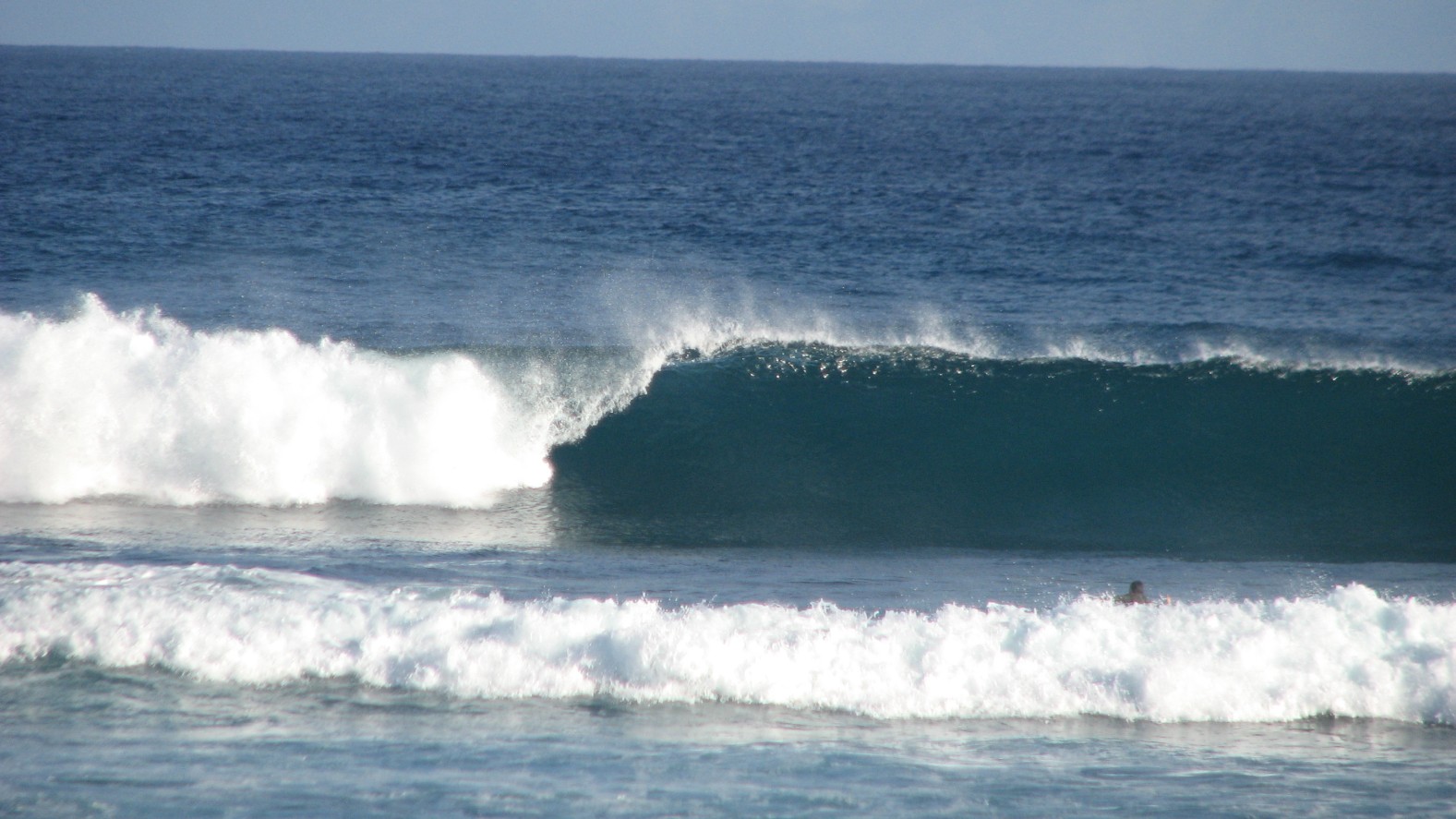seedicksurf.com - Maui Surf Report and Photos