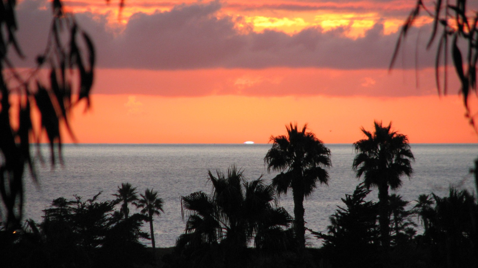 seedicksurf.com - Maui Surf Report and Photos