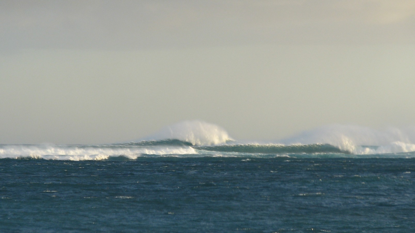 seedicksurf.com - Maui Daily Surf shots and the Maui surf report!!