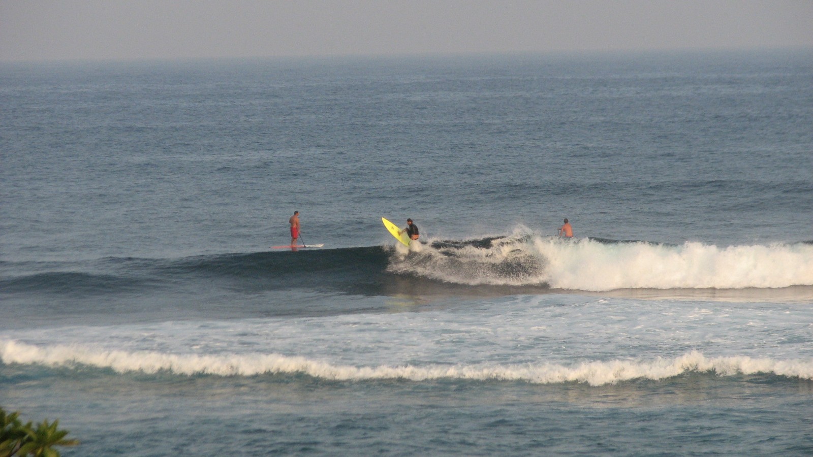 seedicksurf.com - Maui Daily Surf shots and the Maui surf report!!
